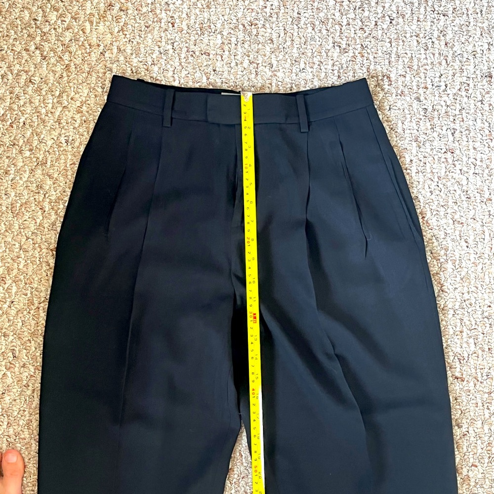 Everlane Put Together Pleat Pant